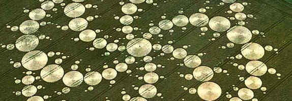 Crop circles : tous faux ?