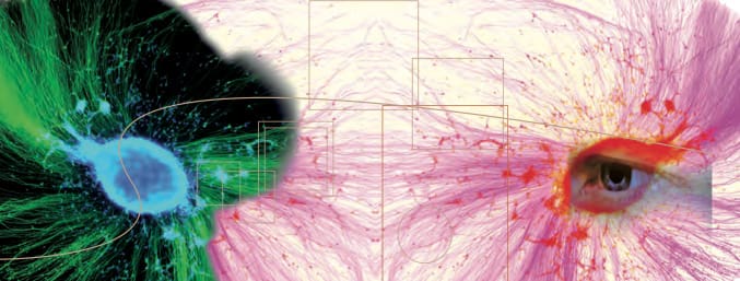Conscience — Aux limites de la science …