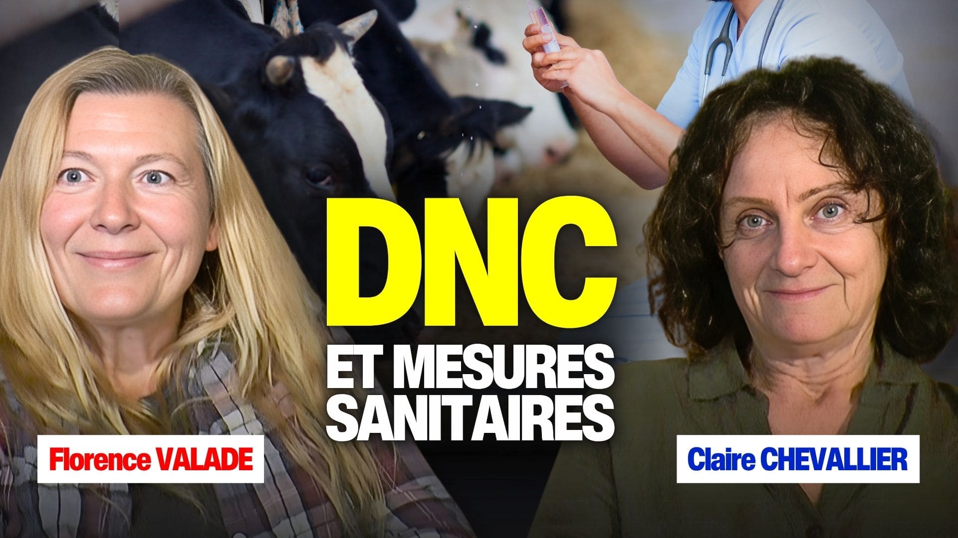 La dermatose nodulaire contagieuse : on fait le point (VIDÉO)