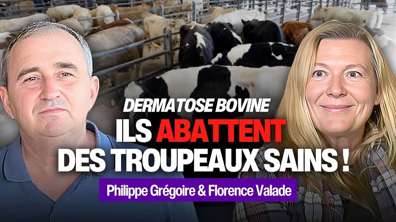 Abattages et vaccination : le cri d’alarme des agriculteurs | Florence Valade & Philippe Grégoire (VIDÉO)