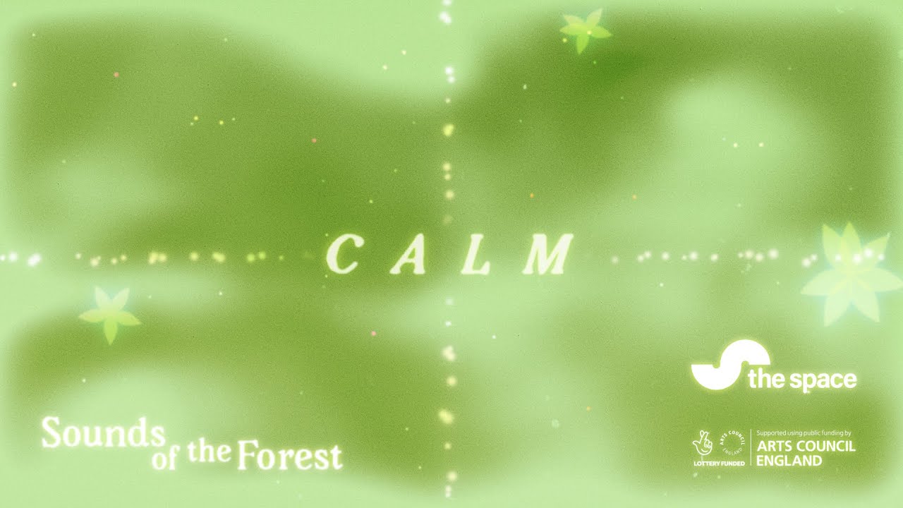 youtube placeholder image